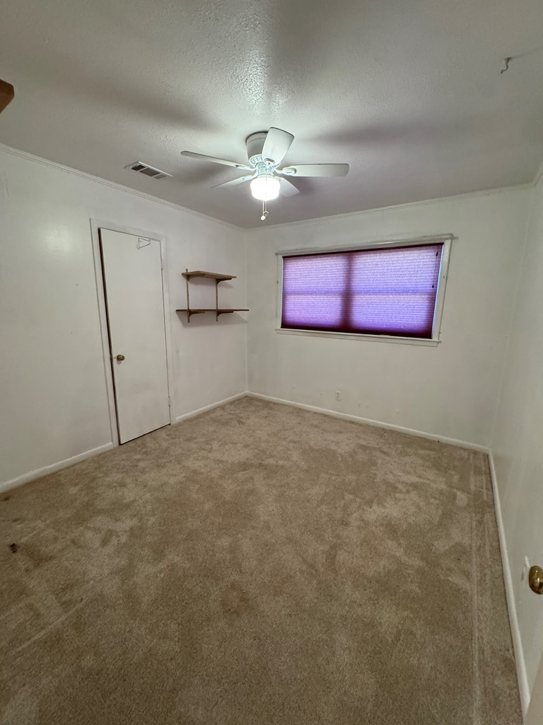 404 Bush Drive