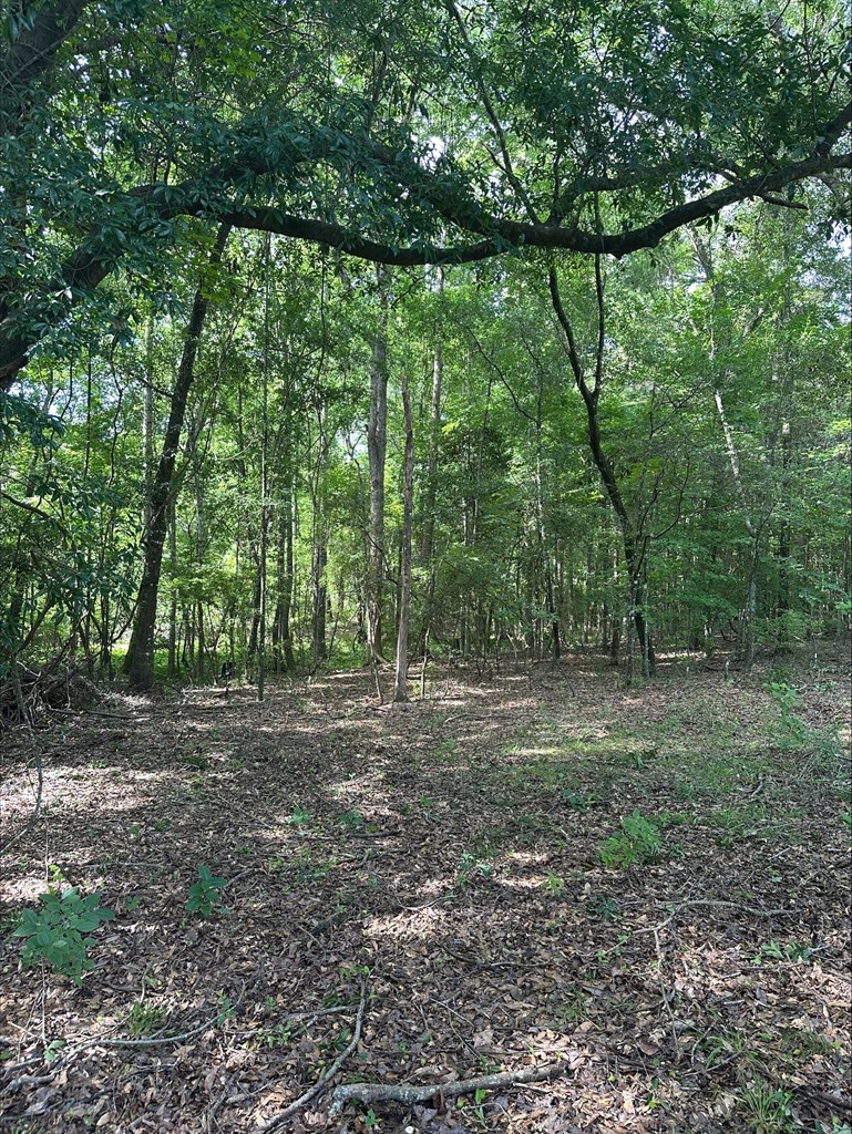 297 Sandy Branch Road