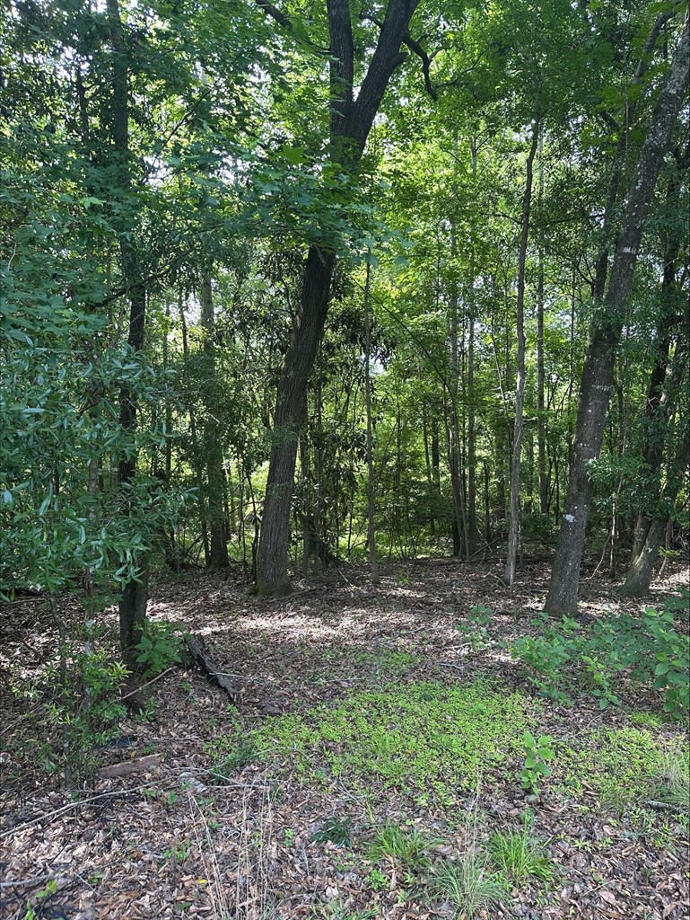 297 Sandy Branch Road