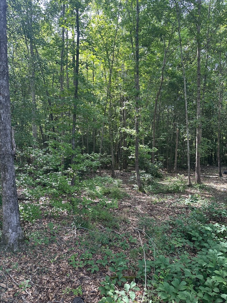 297 Sandy Branch Road