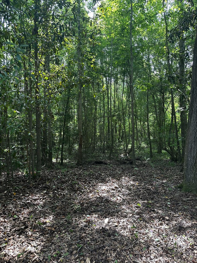 297 Sandy Branch Road