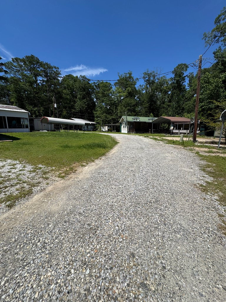 119 Winnie Loop