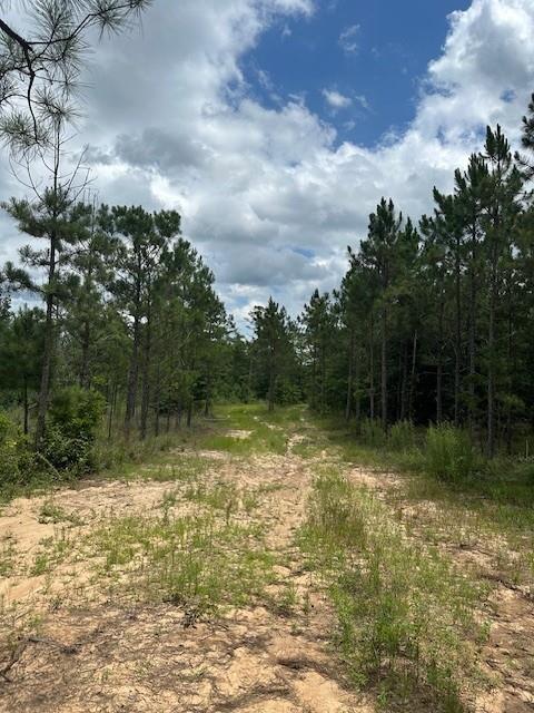 0 Lower Lumpkin Road