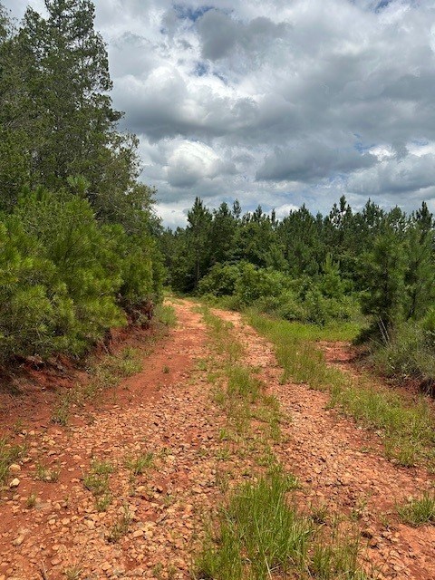 0 Lower Lumpkin Road