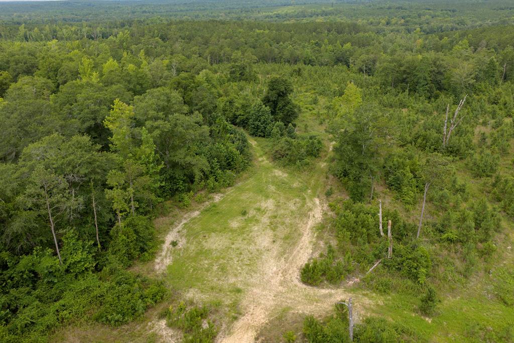 1 Lower Lumpkin Road