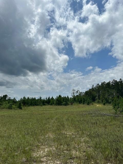 1 Lower Lumpkin Road