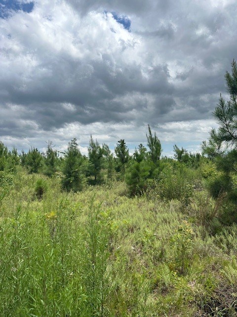1 Lower Lumpkin Road