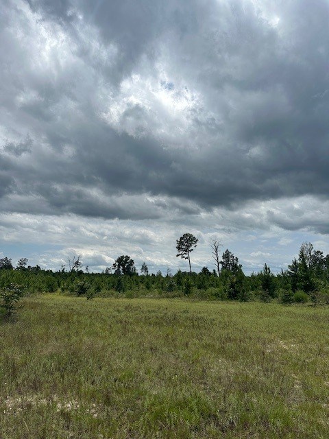 1 Lower Lumpkin Road