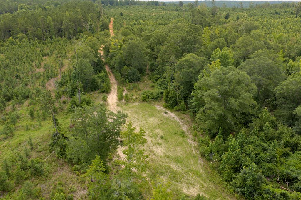 1 Lower Lumpkin Road