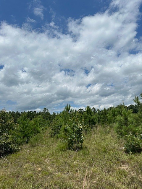 1 Lower Lumpkin Road
