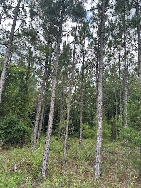 2 Lower Lumpkin Road