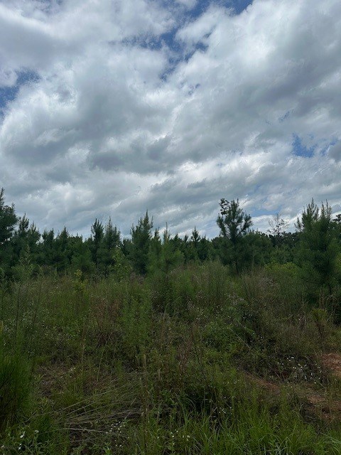 2 Lower Lumpkin Road