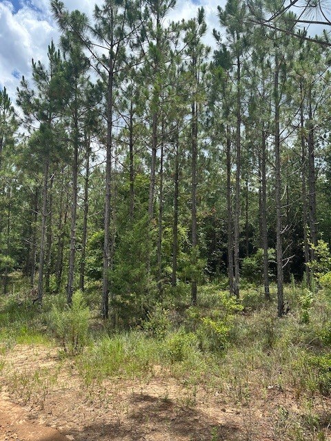 2 Lower Lumpkin Road