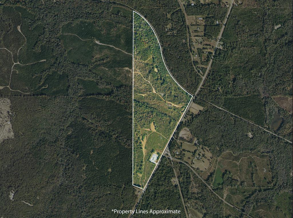0 Ga Hwy 39 S
