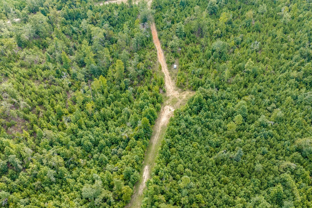 0 Ga Hwy 39 S