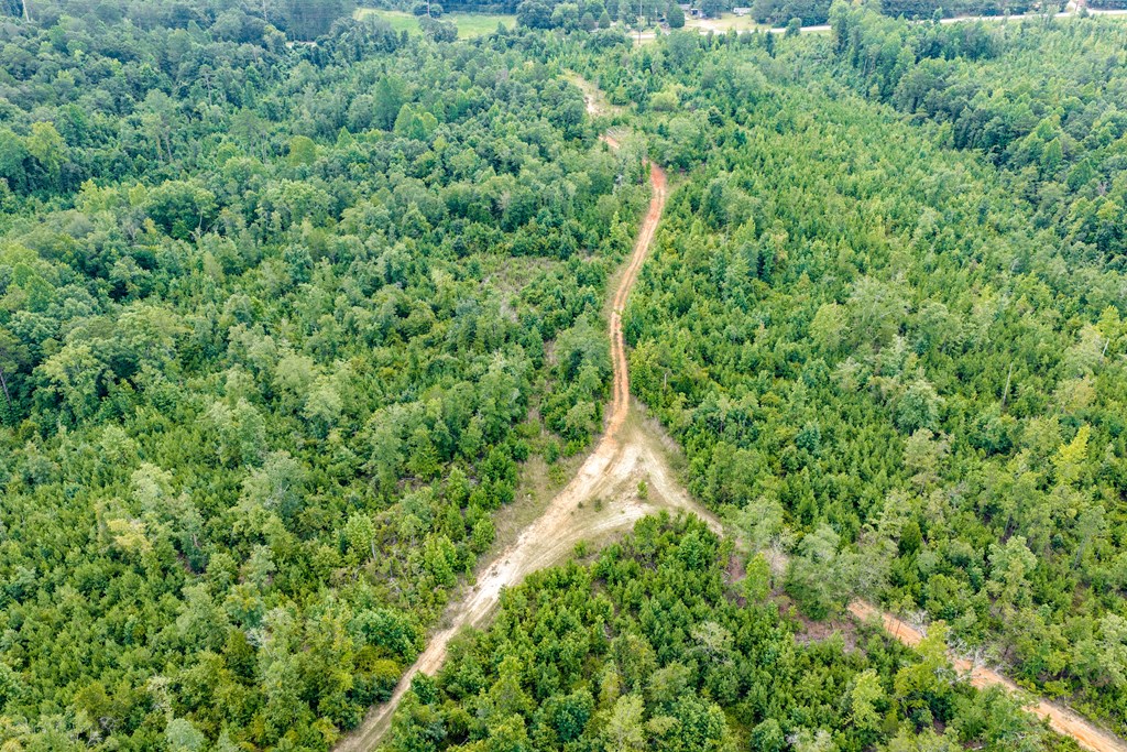 0 Ga Hwy 39 S