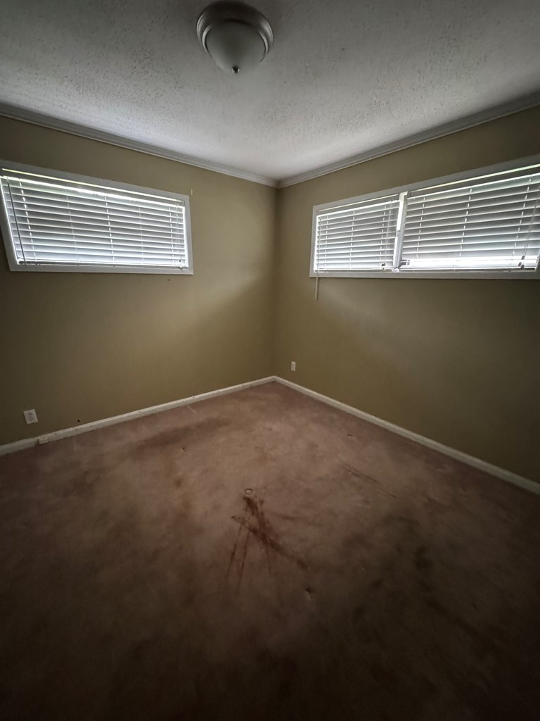 105 Glen Iris Drive