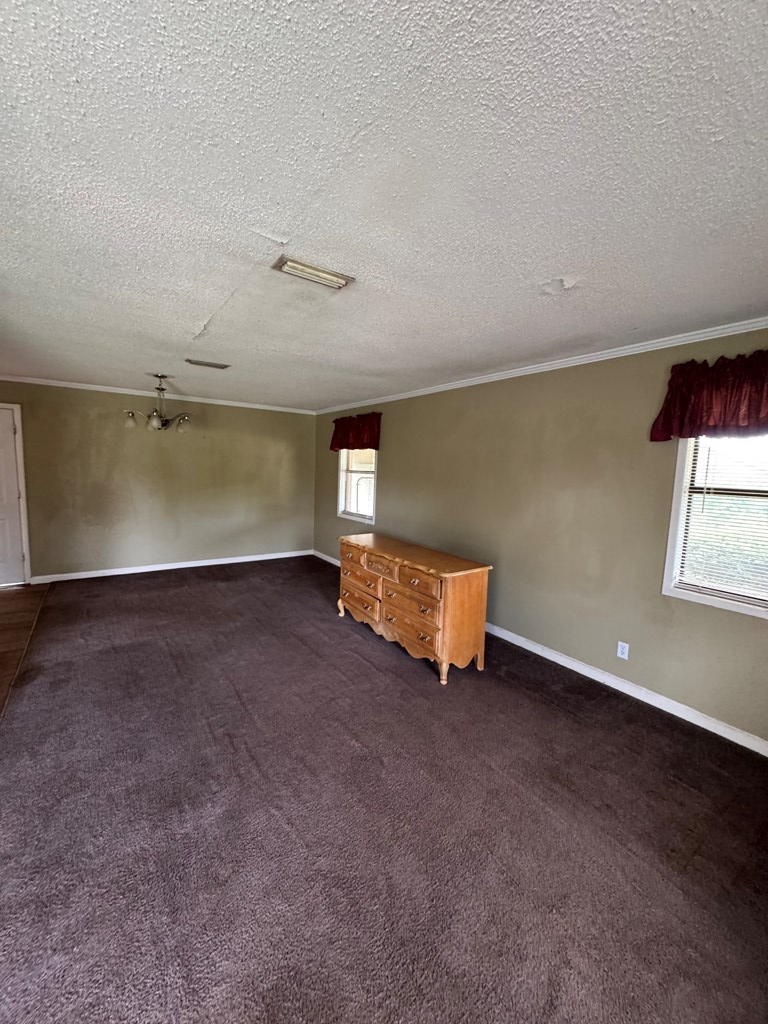 105 Glen Iris Drive