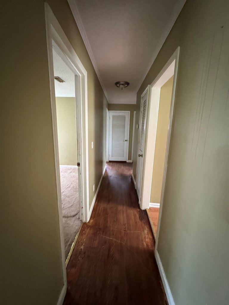 105 Glen Iris Drive