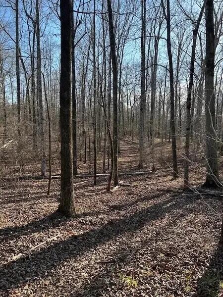 1524 U.S. Hwy 82