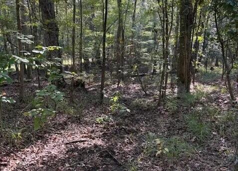1524 U.S. Hwy 82