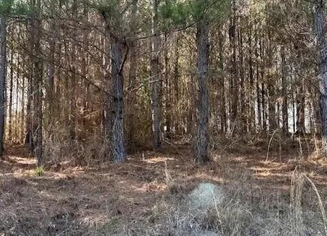 1524 U.S. Hwy 82