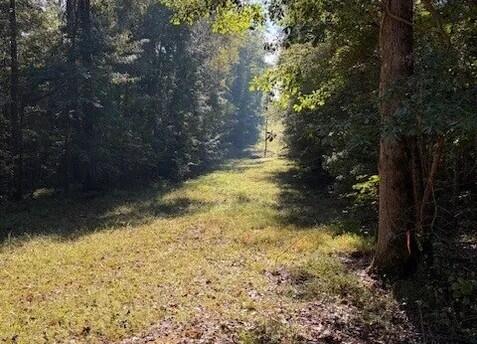 1524 U.S. Hwy 82
