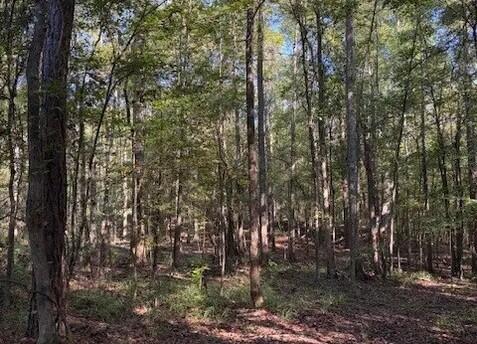 1524 U.S. Hwy 82