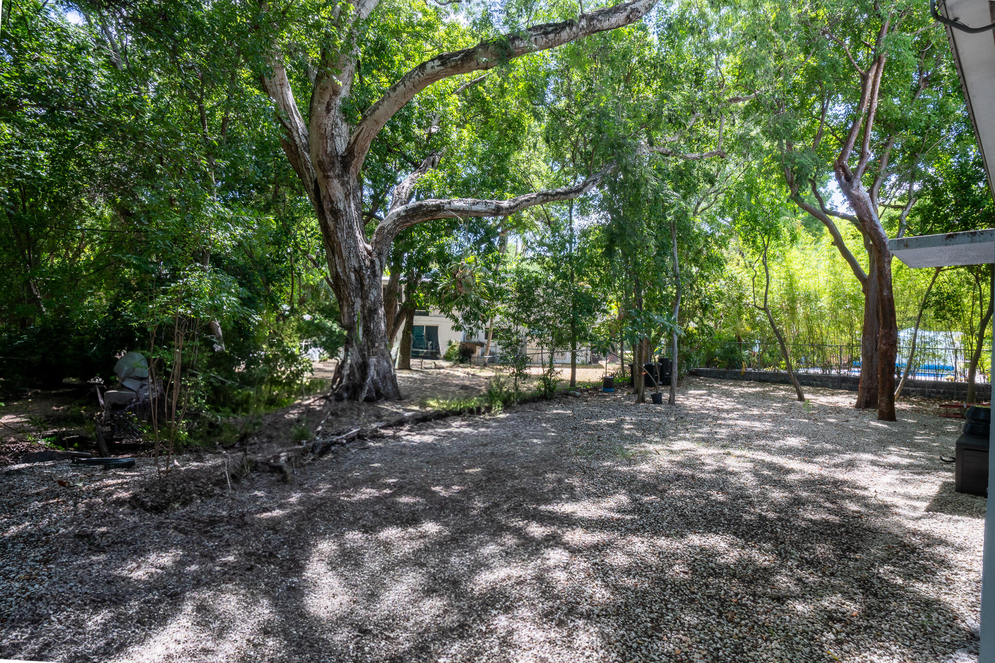 207 Sunset Boulevard