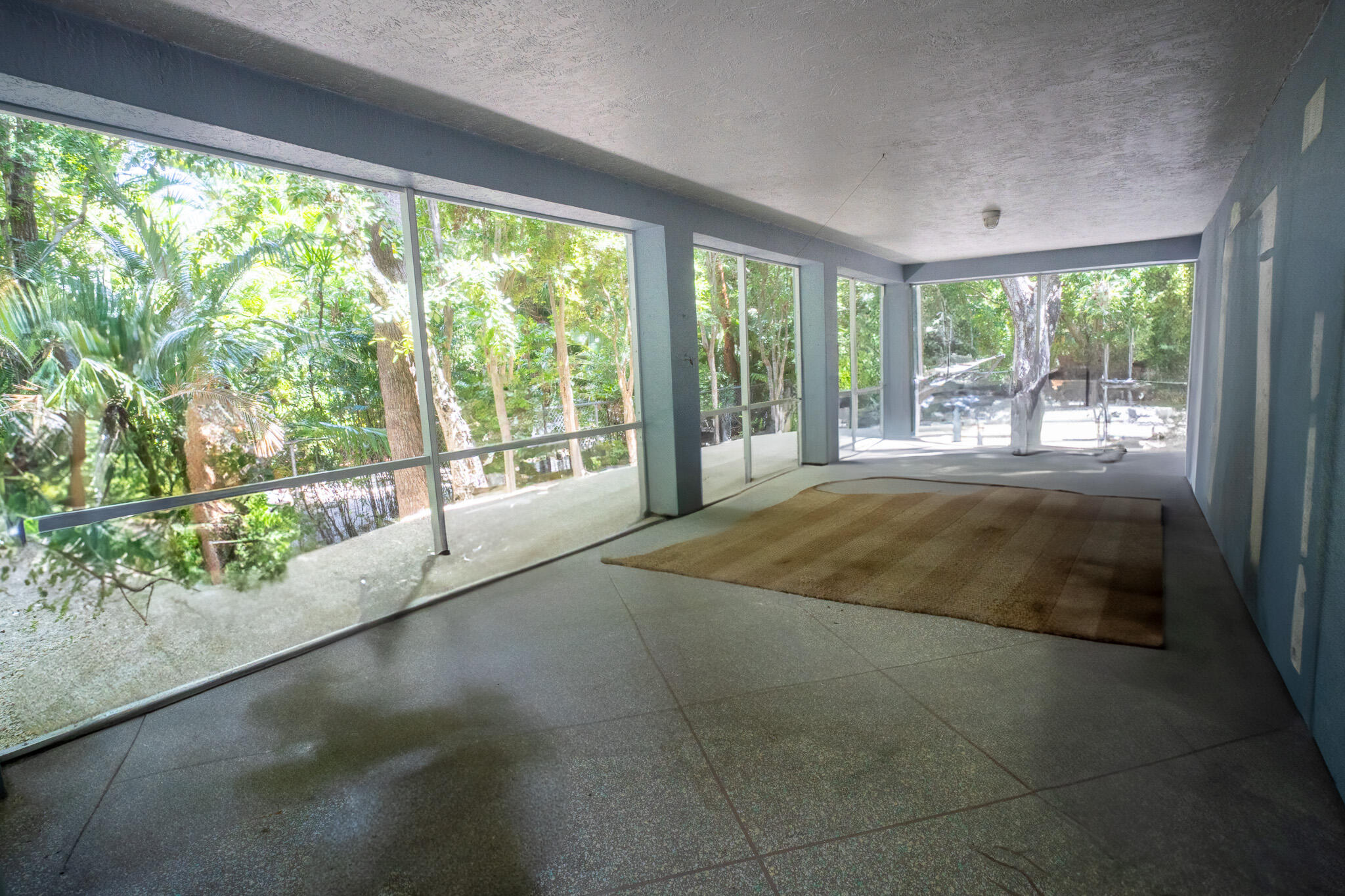 207 Sunset Boulevard