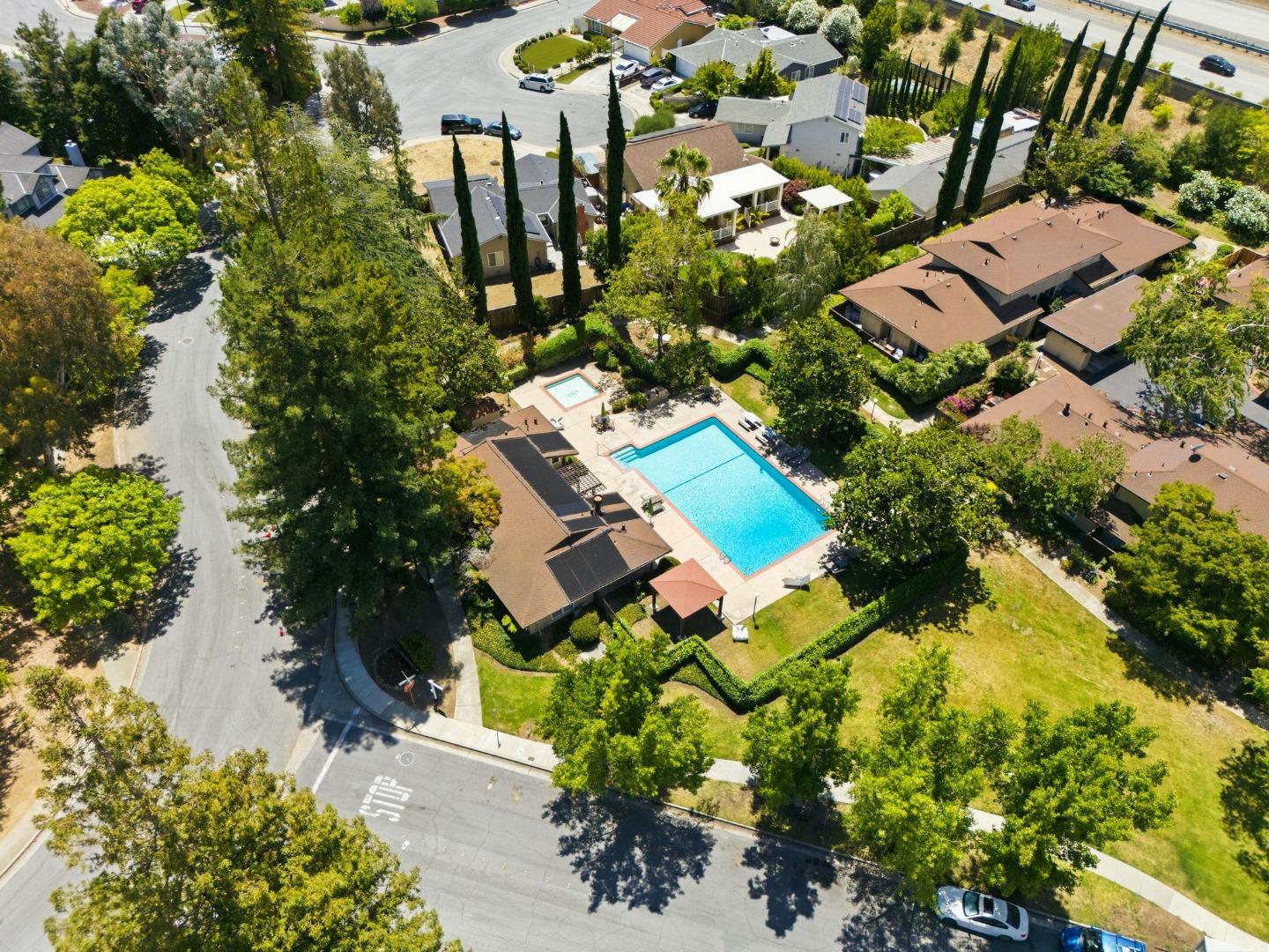 5020 Pine Tree TER