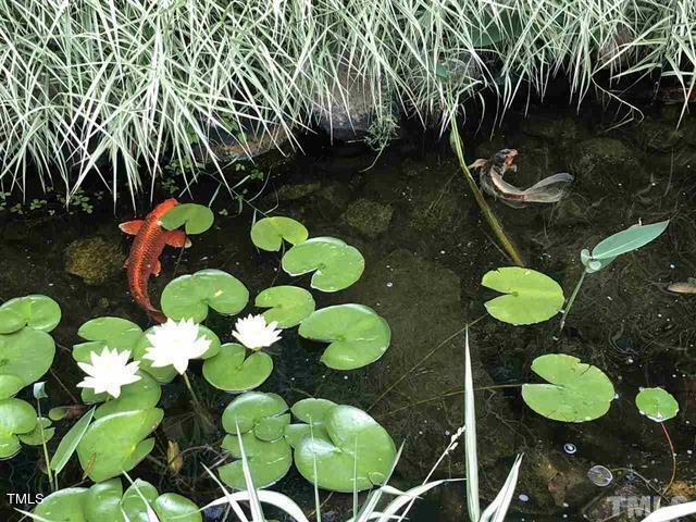 97514 Franklin Ridge