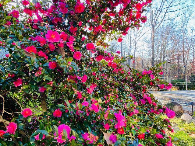 97514 Franklin Ridge