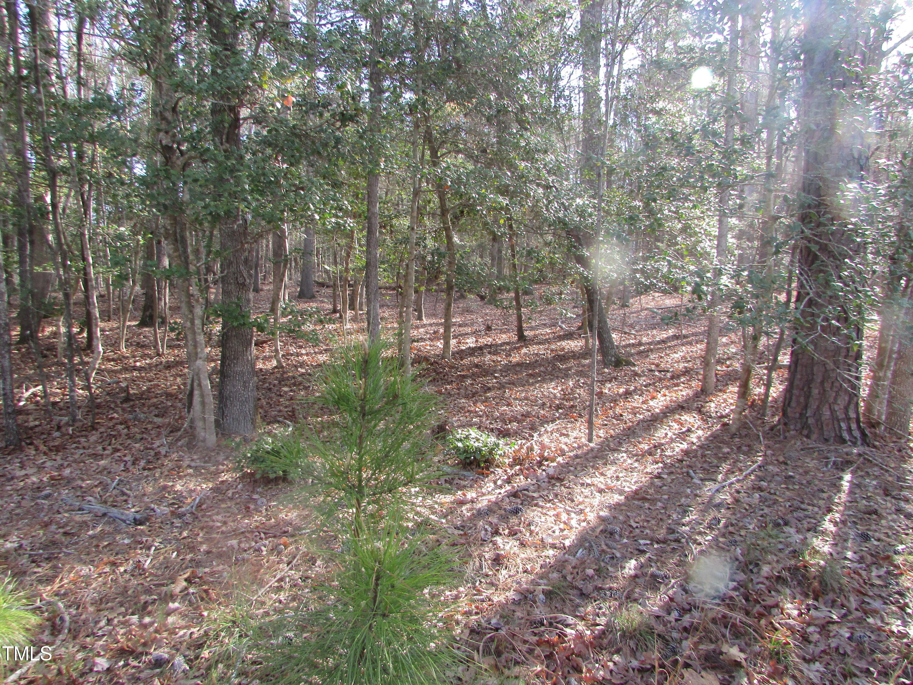 378 Mt Gilead Church Road