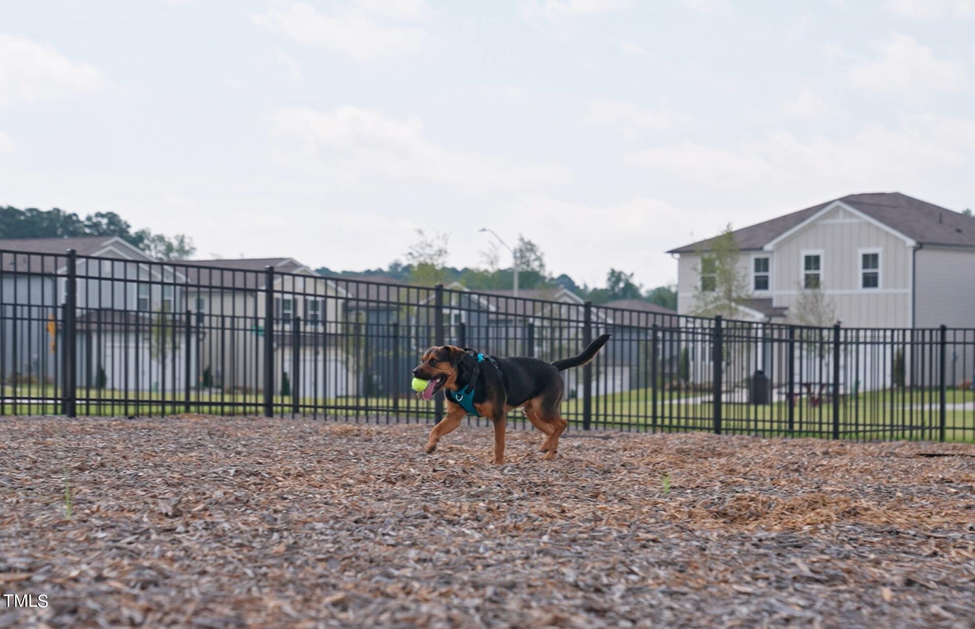 1416 Rhodes Pond Street