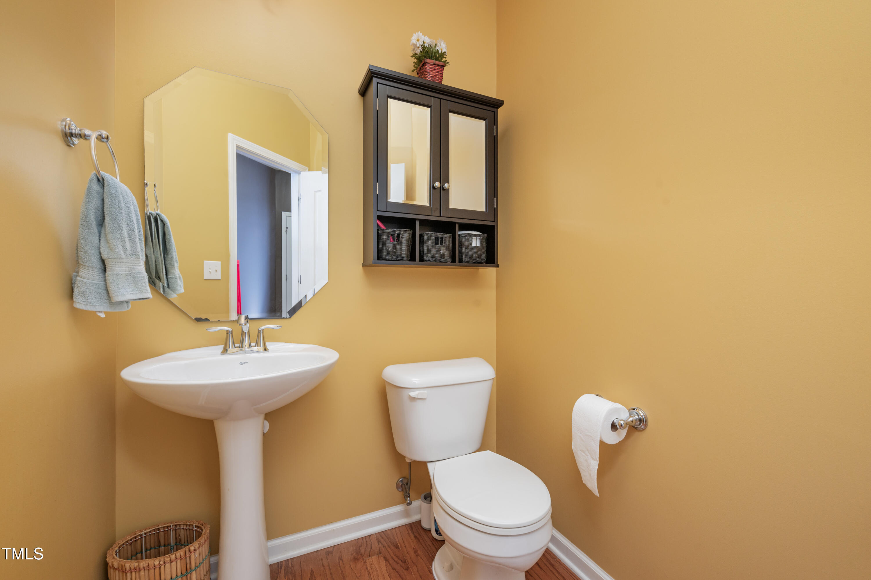 528 Mesquite Ridge Place