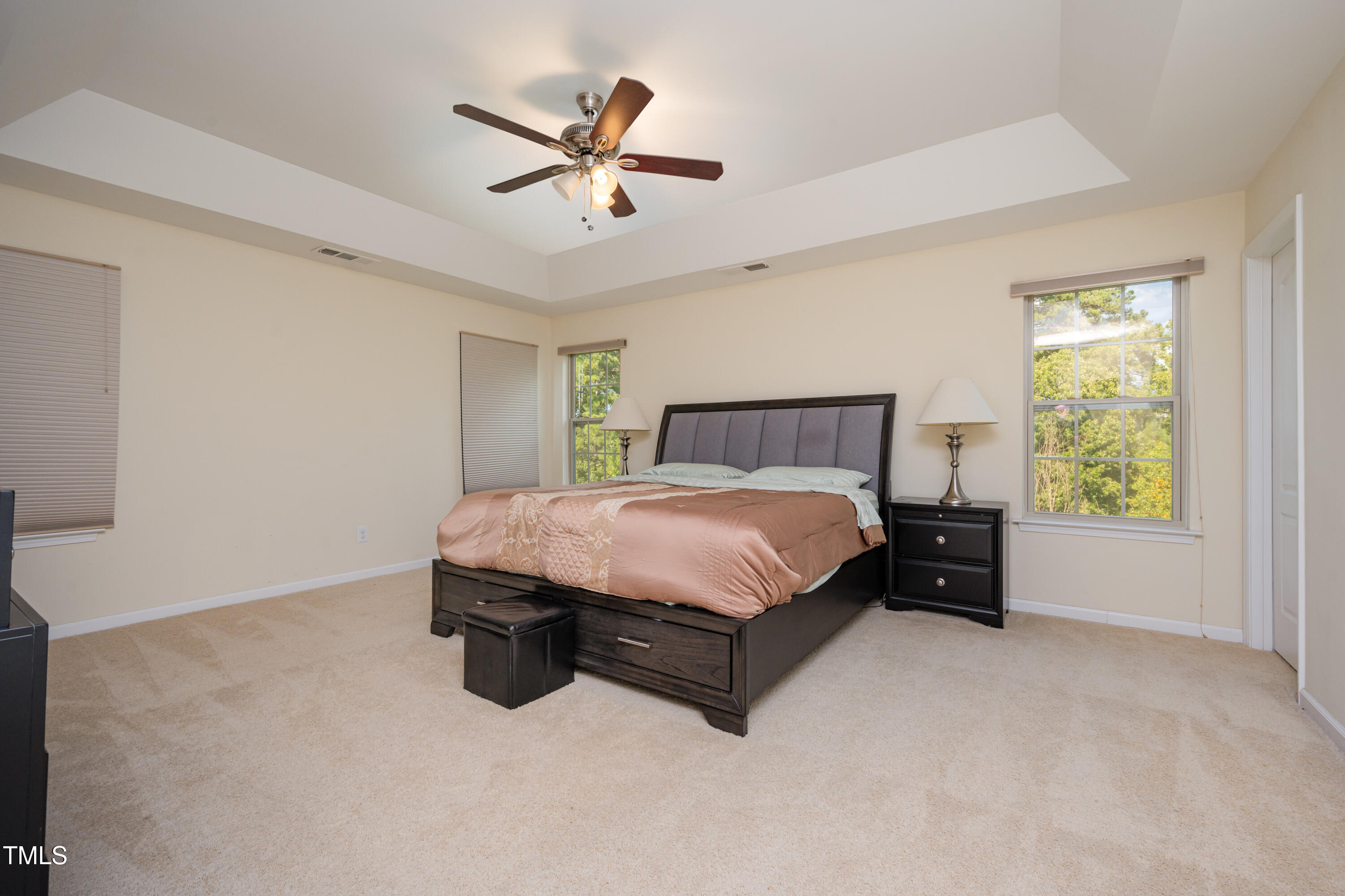 528 Mesquite Ridge Place