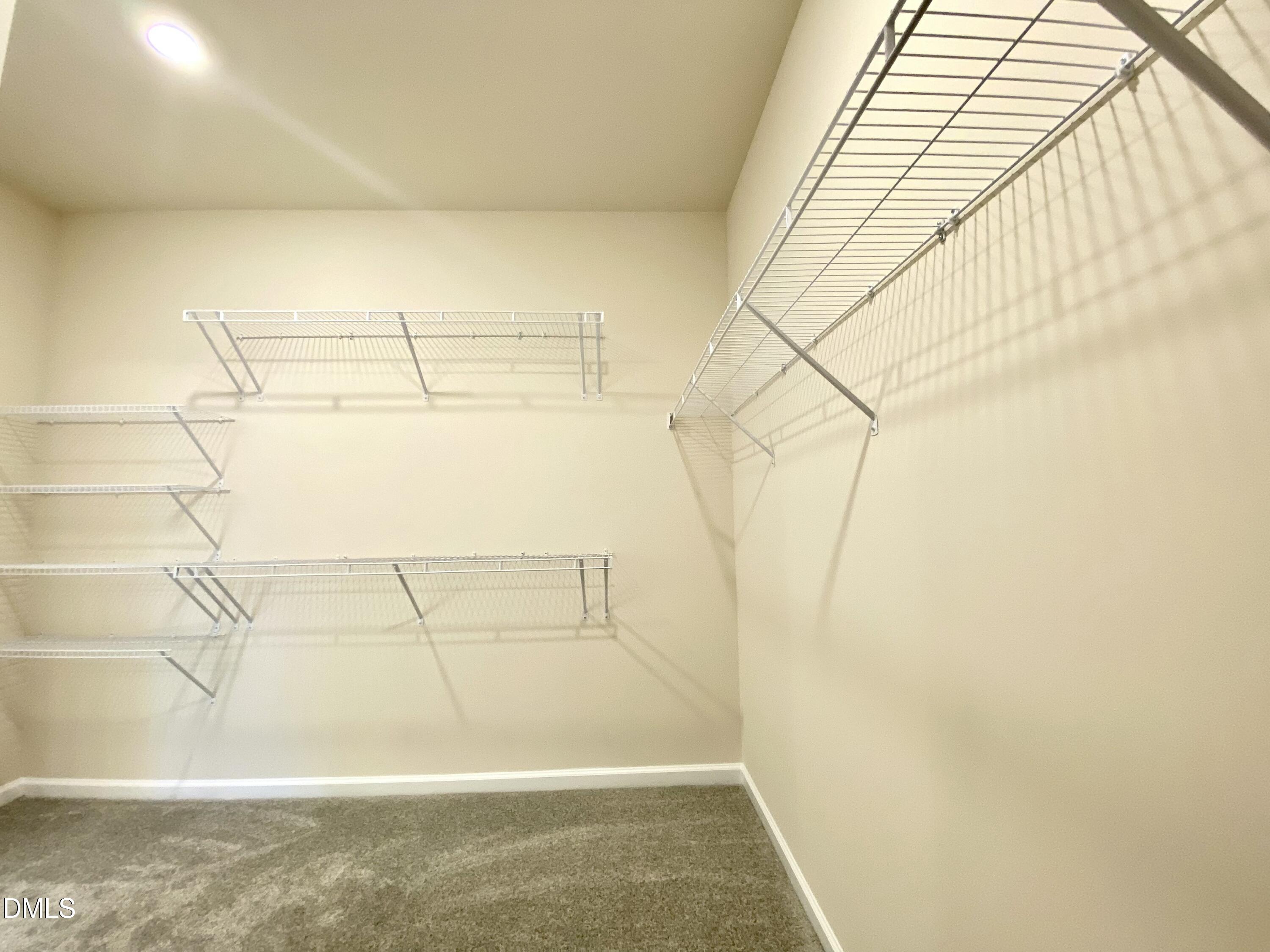 2313 Hedge Maple Drive, Raleigh