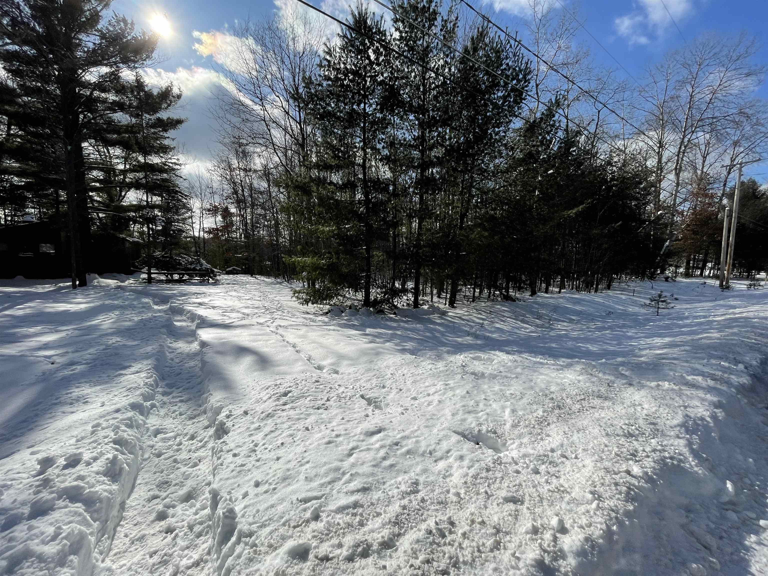 Whitetail Street