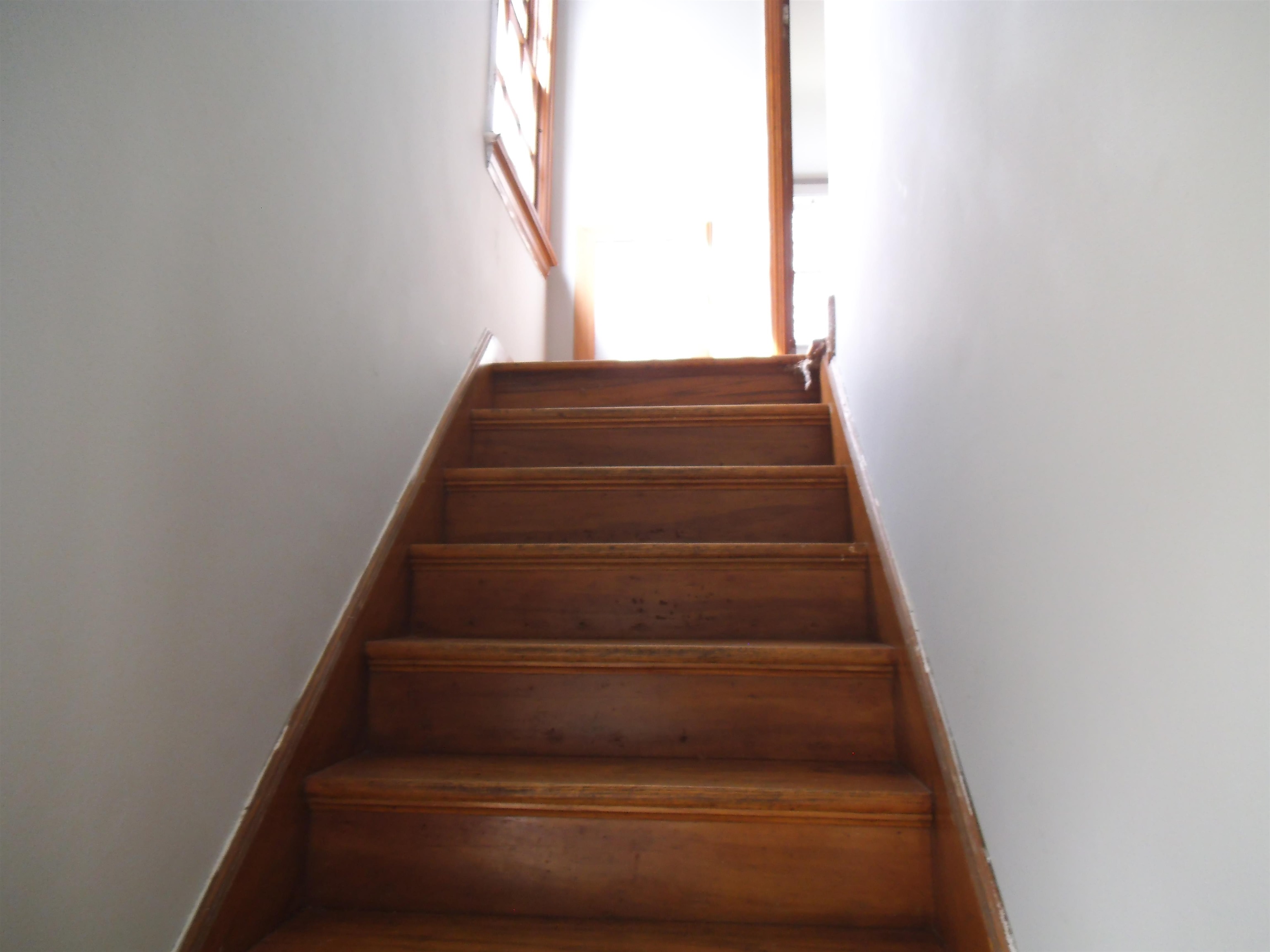 251 Trier Street