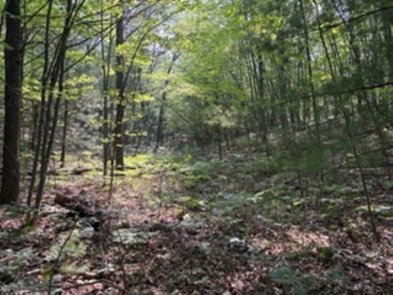 2180 N Hubbard Lake Road