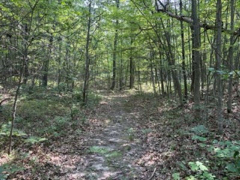 2180 N Hubbard Lake Road