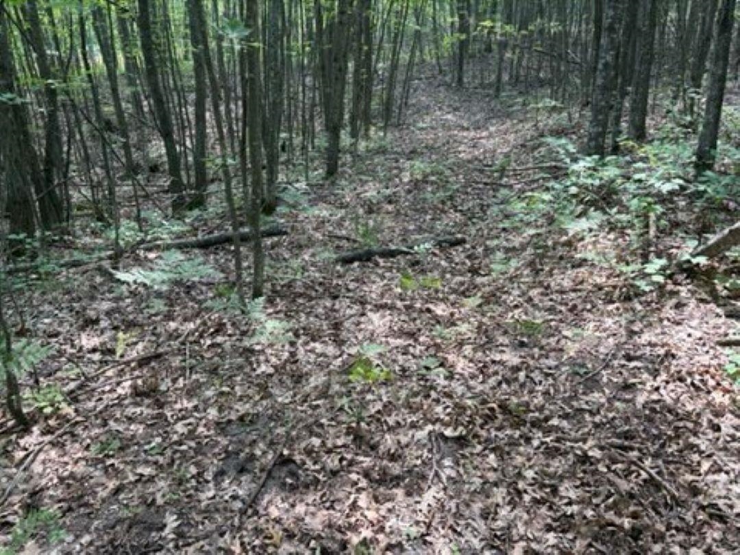 2180 N Hubbard Lake Road