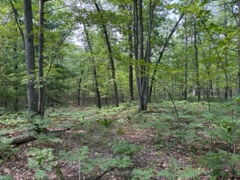 2180 N Hubbard Lake Road