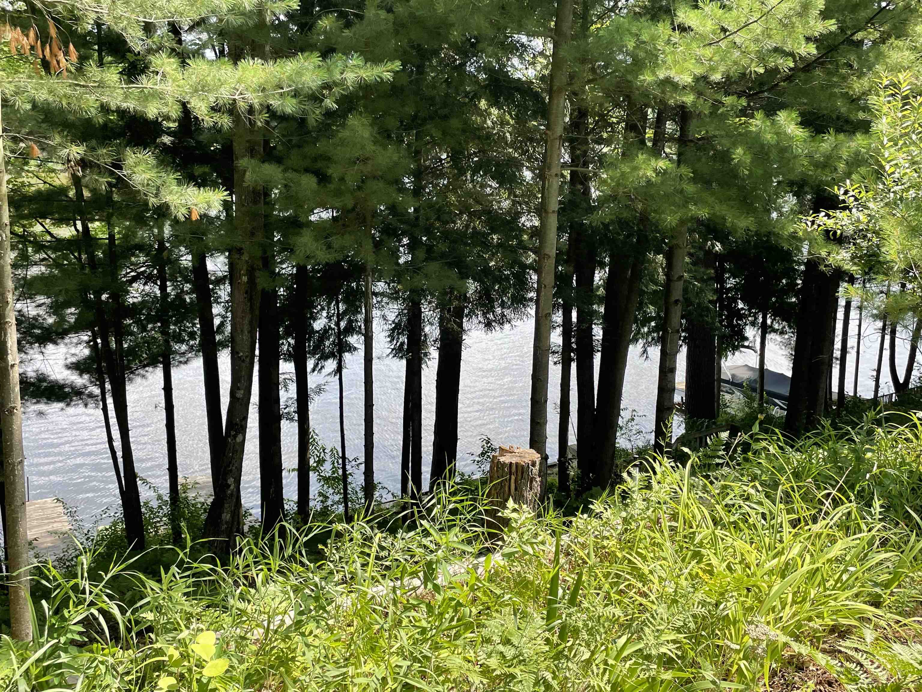6290 Bobcat Trail