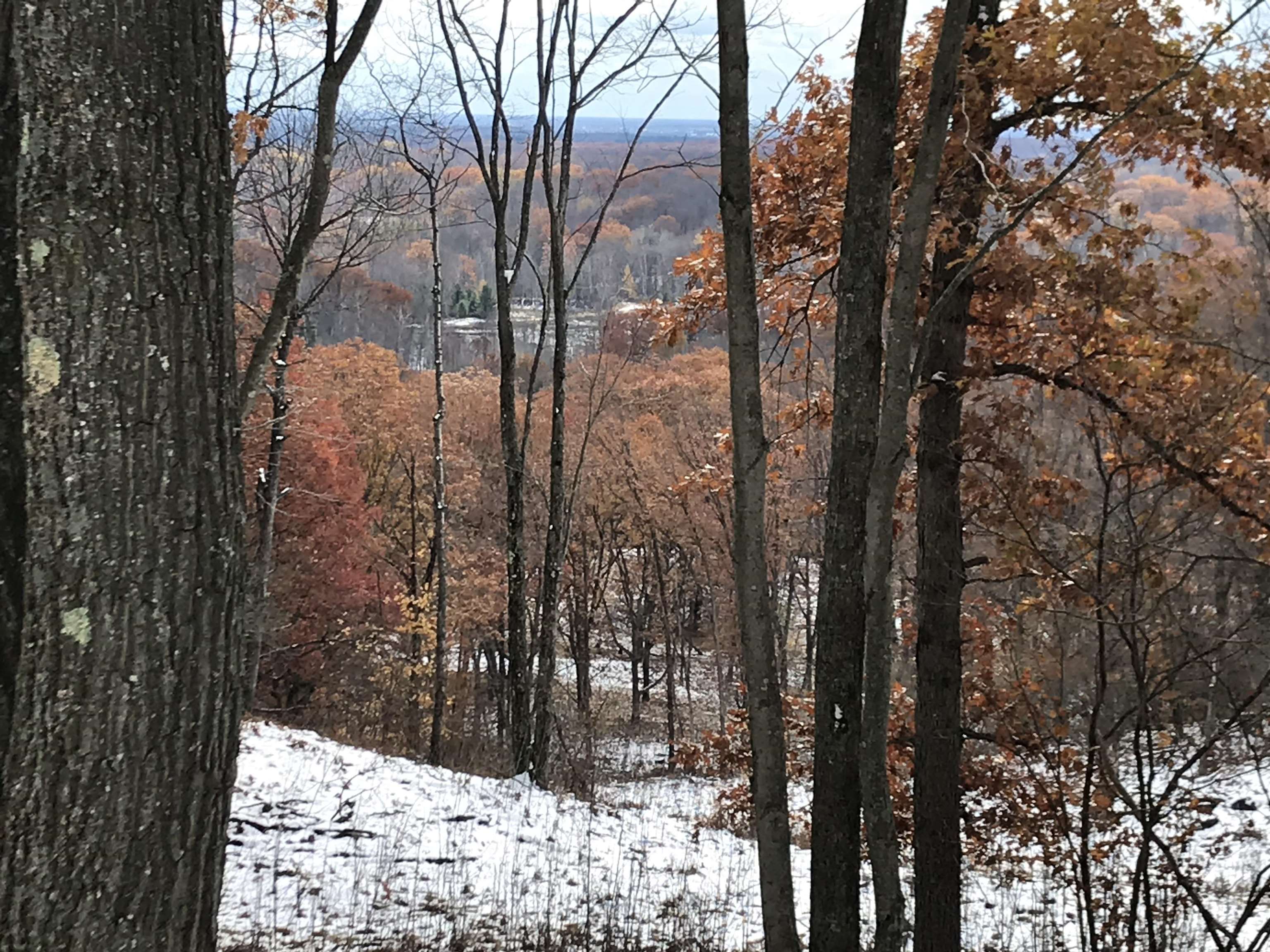 7601 Bobcat Trail