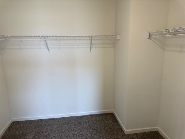 512 Willow Bend Street