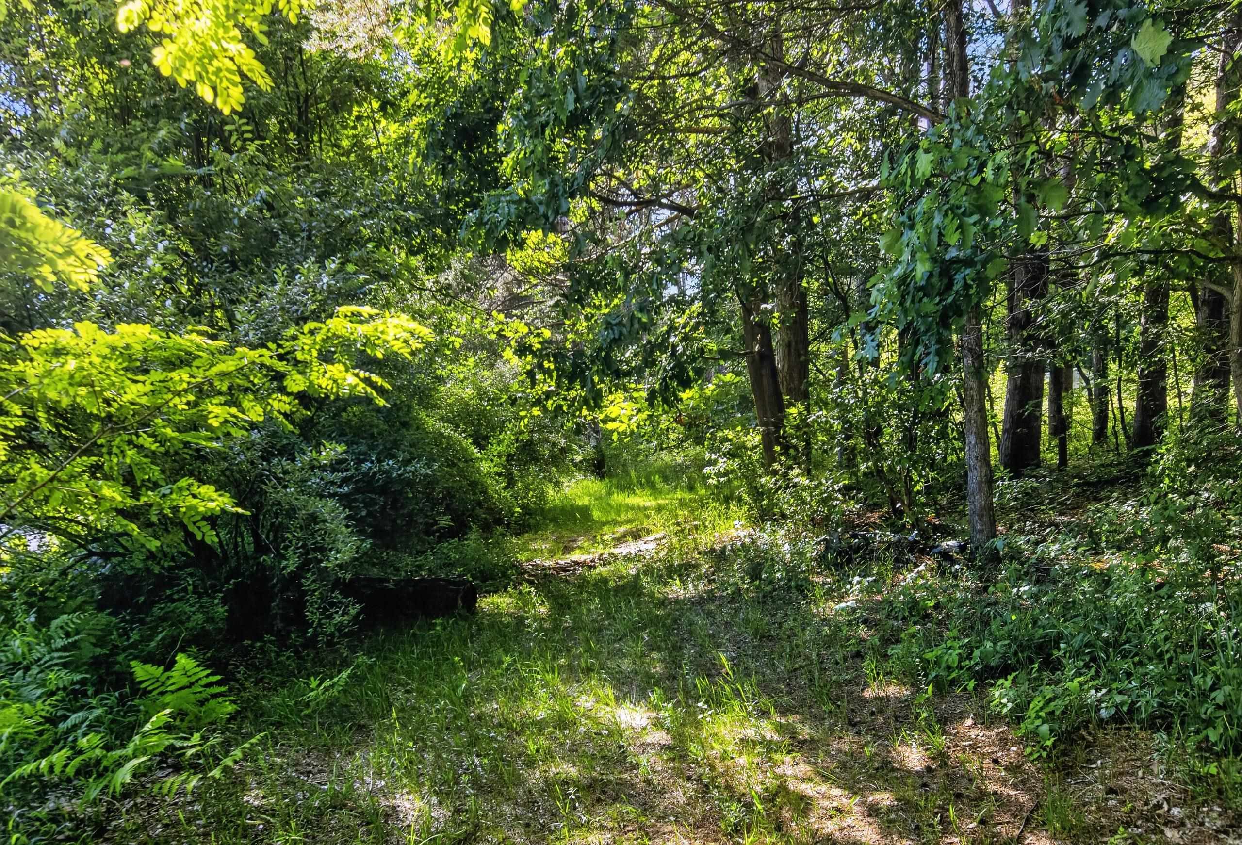 2248 Vickory Road