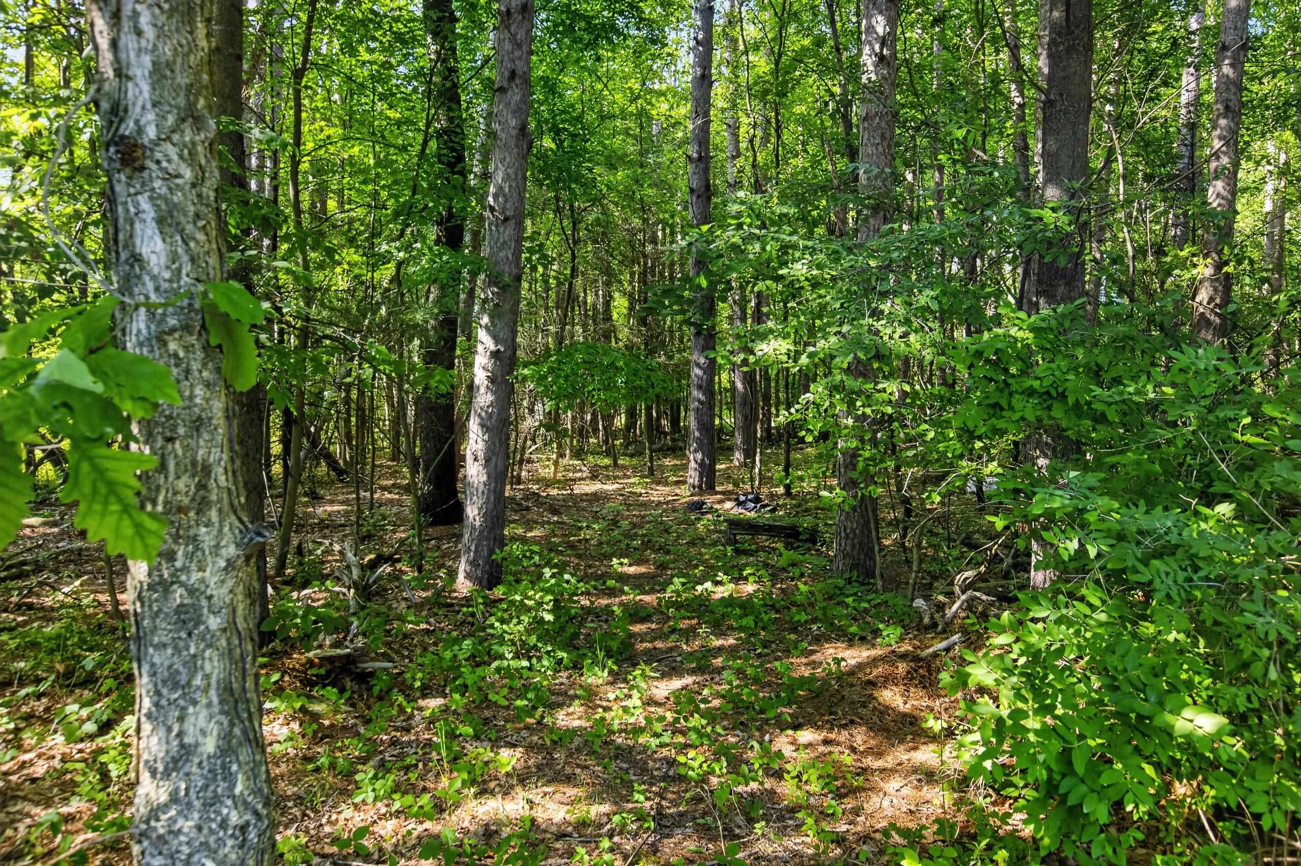 2248 Vickory Road