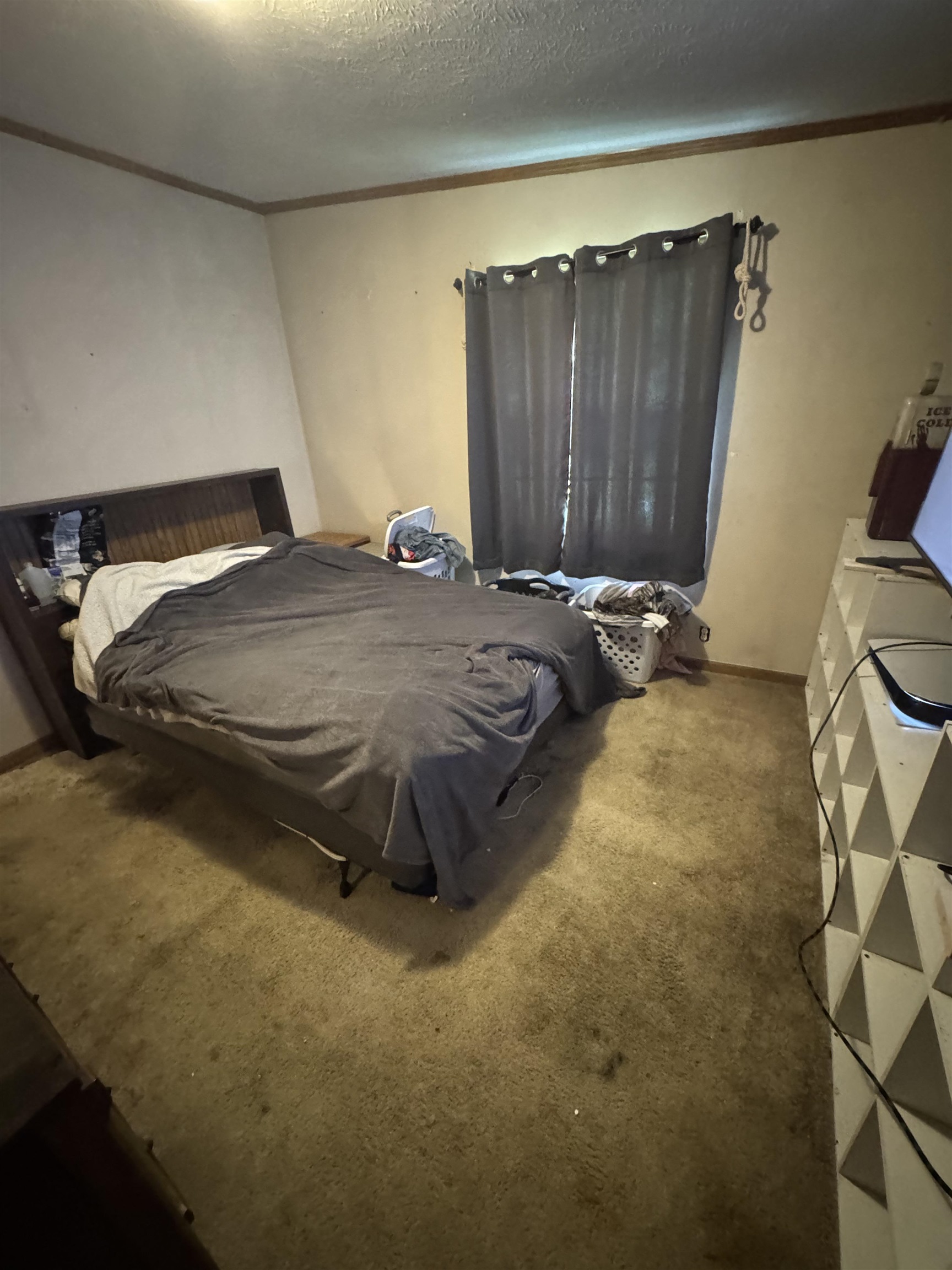 5239 Turtle Road